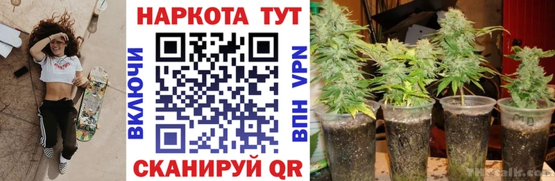 Где купить Моздок КОКАИН  Меф мяу мяу  Галлюциногенные грибы  Гашиш 