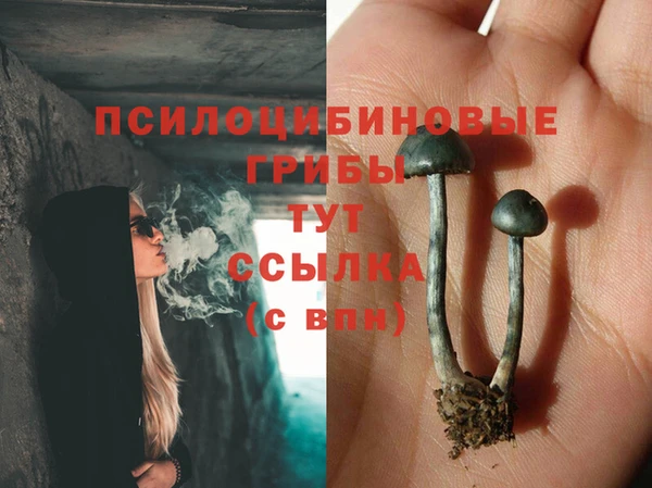 a pvp Медногорск