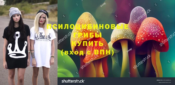 a pvp Медногорск