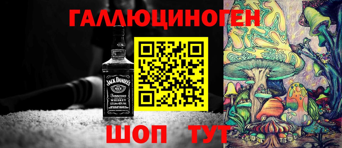 Псилоцибиновые грибы Cubensis Моздок