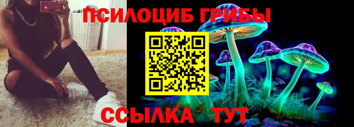Псилоцибиновые грибы Psilocybe  Вход с VPN  Моздок 