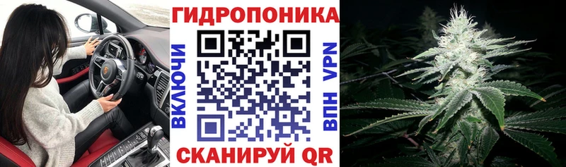 Бошки Шишки семена  Моздок 